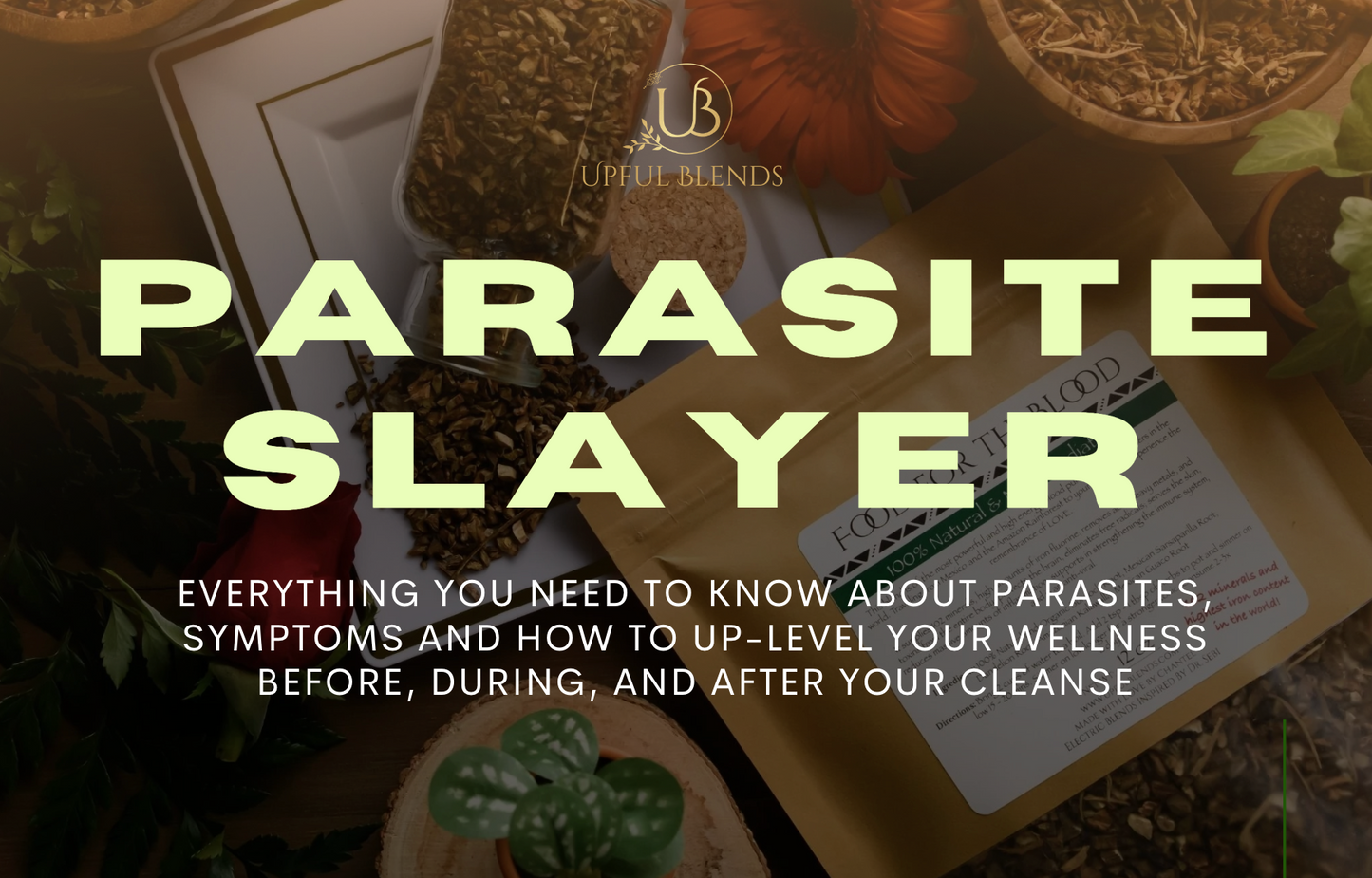 Parasite Slayer - Parasite Detox